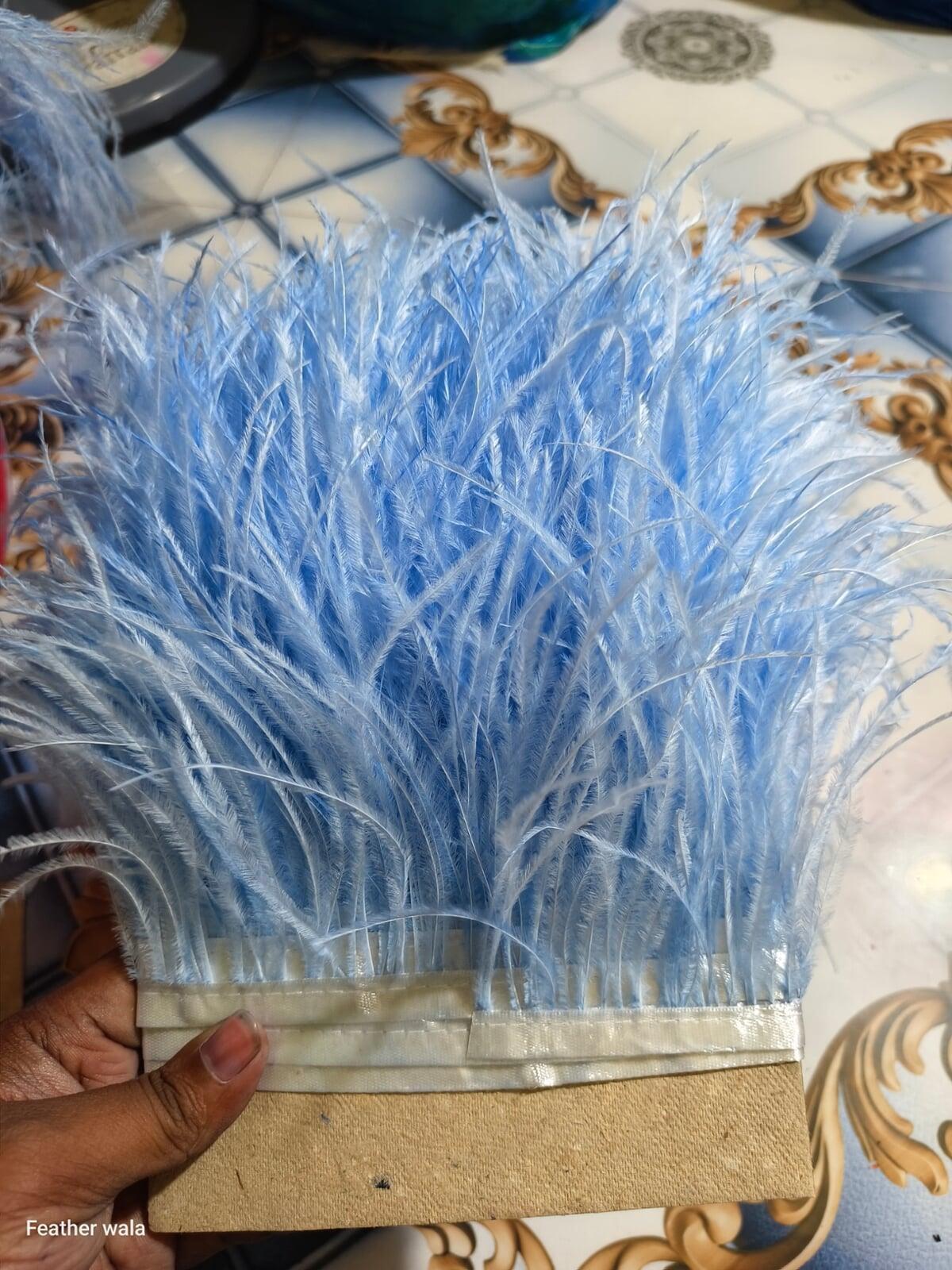 Ostrich feather lace